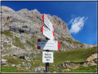 foto Da Campitello di Fassa al Col Rodella